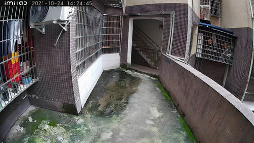 小白別墅攝像頭體驗(yàn) 太陽能供電，無限續(xù)航，告別布線煩惱